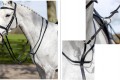 LeMieux Running Martingale